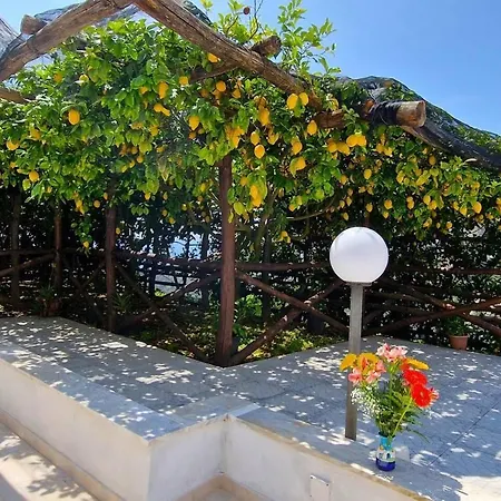 Villa In Lemon Grove With Sea Views & Sea Breeze *